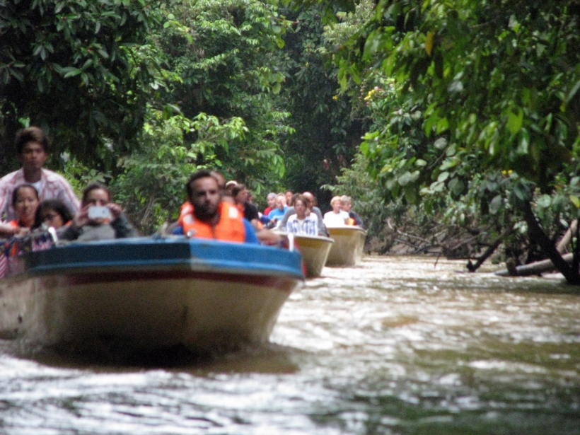 Borneo, 2012 344