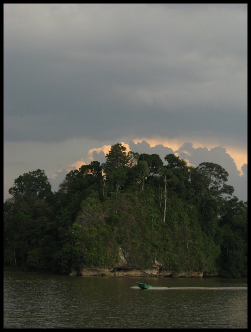 Borneo, 2012 455.1.