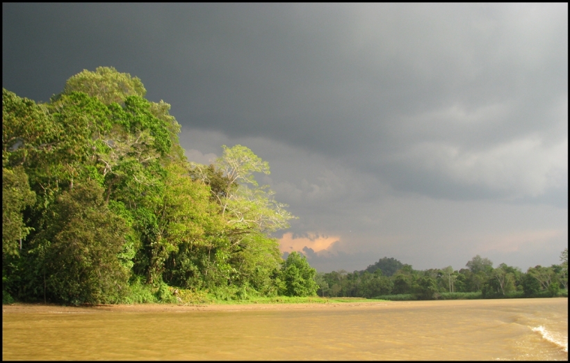 Borneo, 2012 466.1.