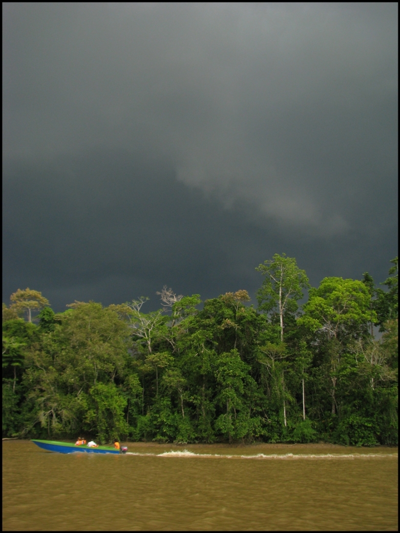 Borneo, 2012 467.1.