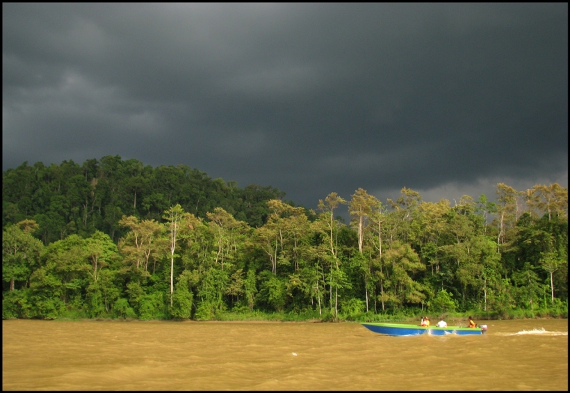 Borneo, 2012 473.1.