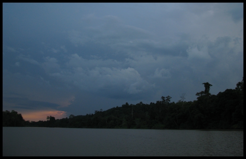 Borneo, 2012 623.1.