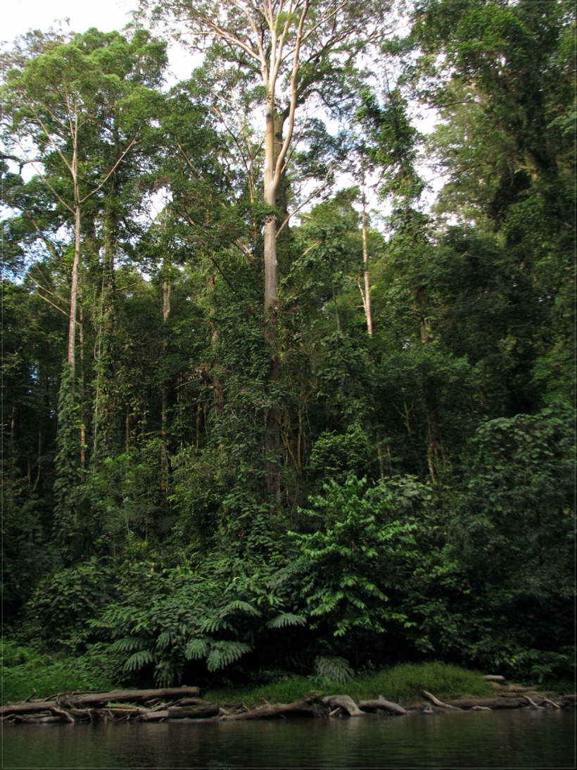 Borneo, 2013, Brunei and Gunung Mulu 240.1