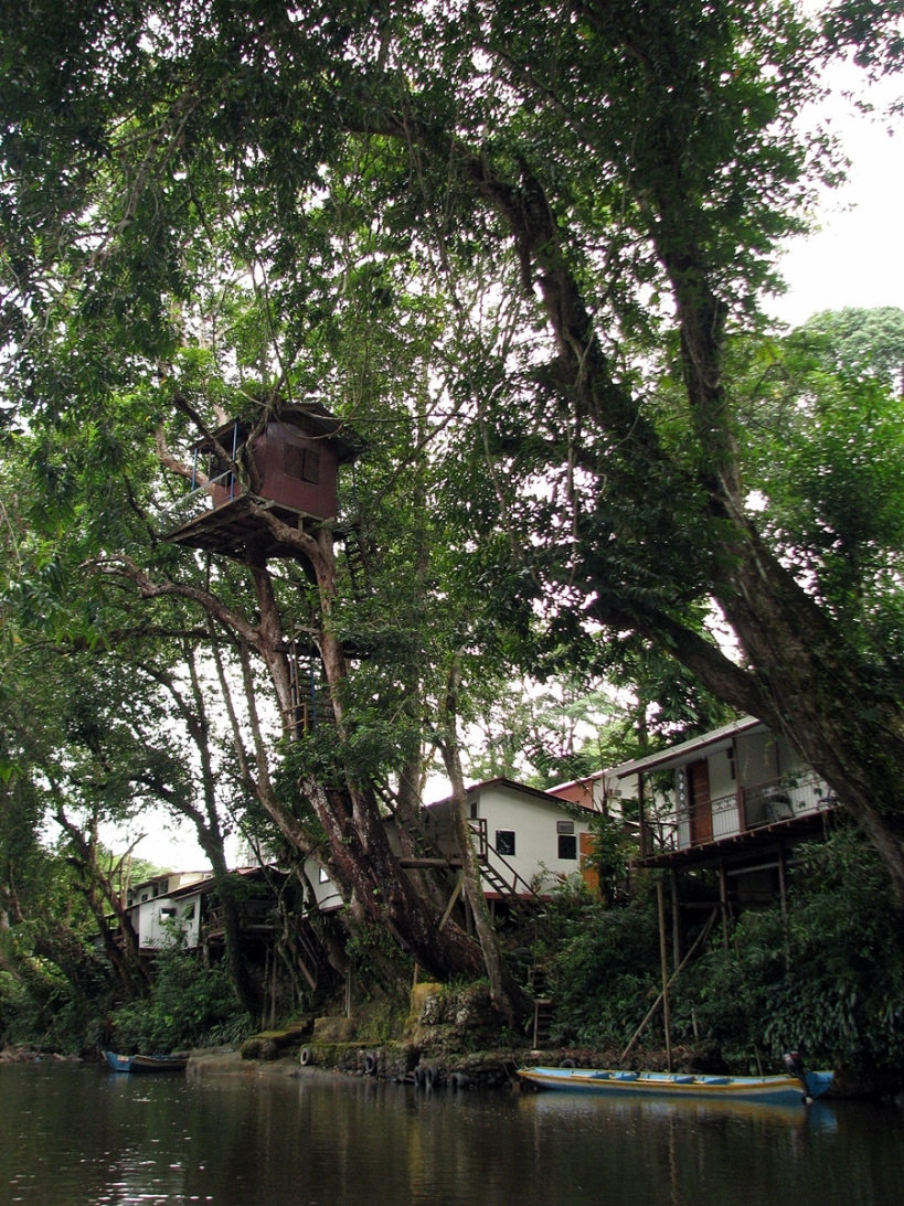 a small tree-house